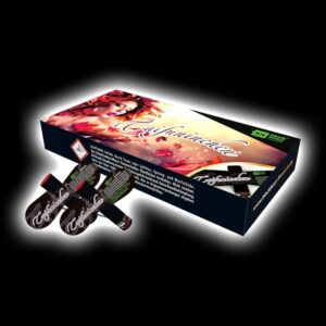 Taifuninchen Feuervögel von Blackboxx Feuerwerk /Firework- Feuerwerk online kaufen im Pyrographics Feuerwerkshop