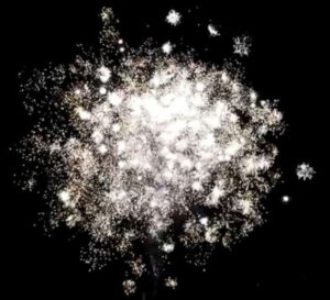 Effekt Crackling Flower von Pyrotrade/PGE - Feuerwerk einfach online kaufen im Pyrographics Feuerwerkshop