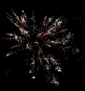 Effekt Crackling Willow von Pyrotrade/PGE - Feuerwerk einfach online kaufen im Pyrographics Feuerwerkshop