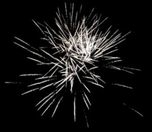 Effekt Golden Willow von Pyrotrade/PGE - Feuerwerk einfach online kaufen im Pyrographics Feuerwerkshop